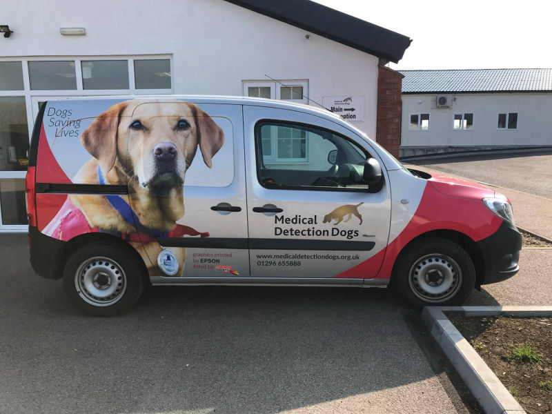 van vehicle graphics